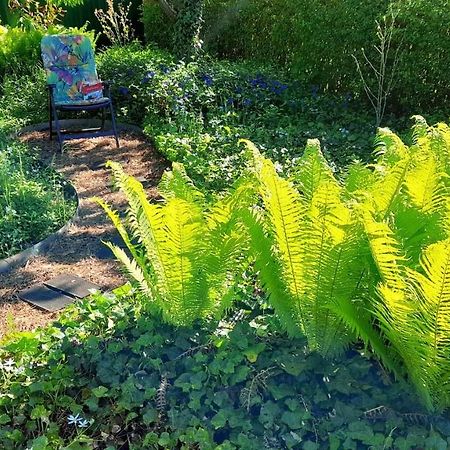 Mitten im Seenland und Spreewaldnah, schöner Garten Storkow  Exterior foto