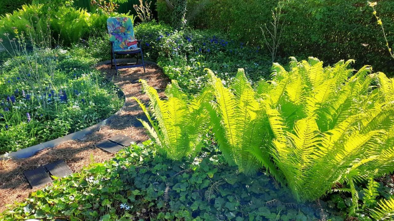 Mitten im Seenland und Spreewaldnah, schöner Garten Storkow  Exterior foto
