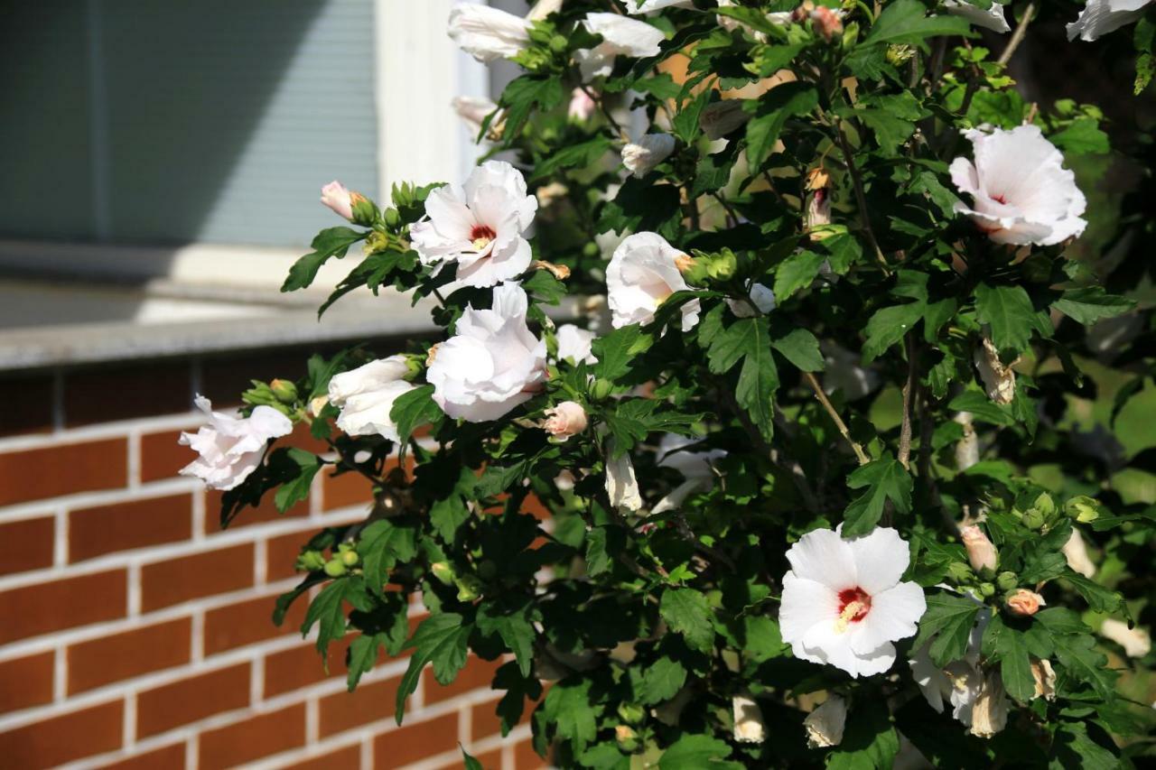 Mitten im Seenland und Spreewaldnah, schöner Garten Storkow  Exterior foto